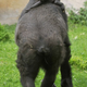 Illustration for article titled Happy Hump Rump Day!